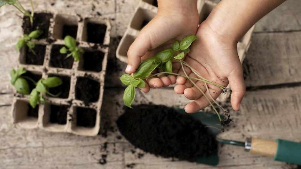 Improve Employee Well-being