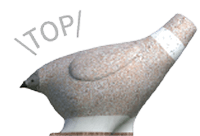goTop